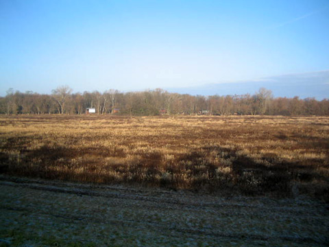 Foto 33